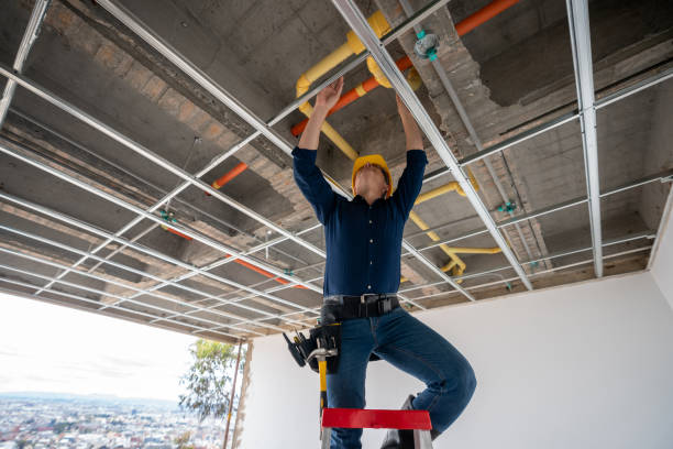 Best Clogged Drain Plumber  in Paddock Lake, WI
