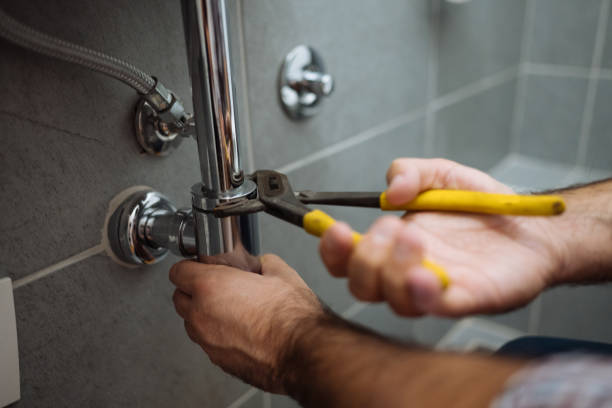 Best Clogged Drain Plumber  in Paddock Lake, WI